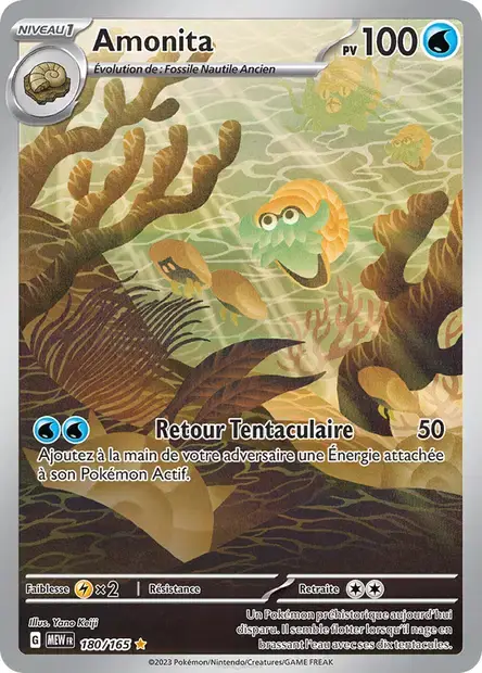 Carte Amonita 180/165